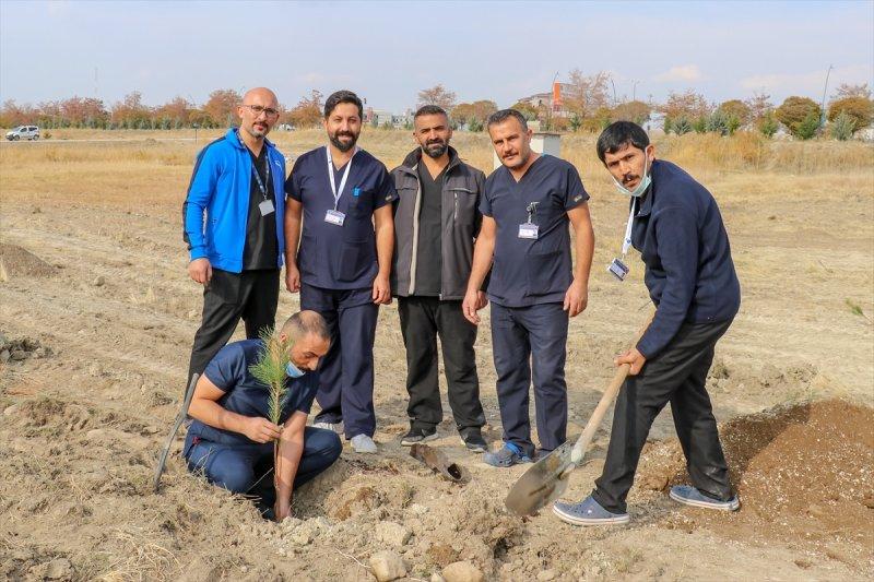 Milli Ağaçlandırma gününde yurt genelinde fidan dikimi yapıldı