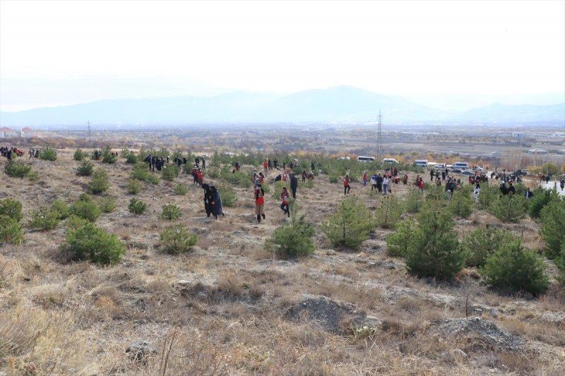 Milli Ağaçlandırma gününde yurt genelinde fidan dikimi yapıldı