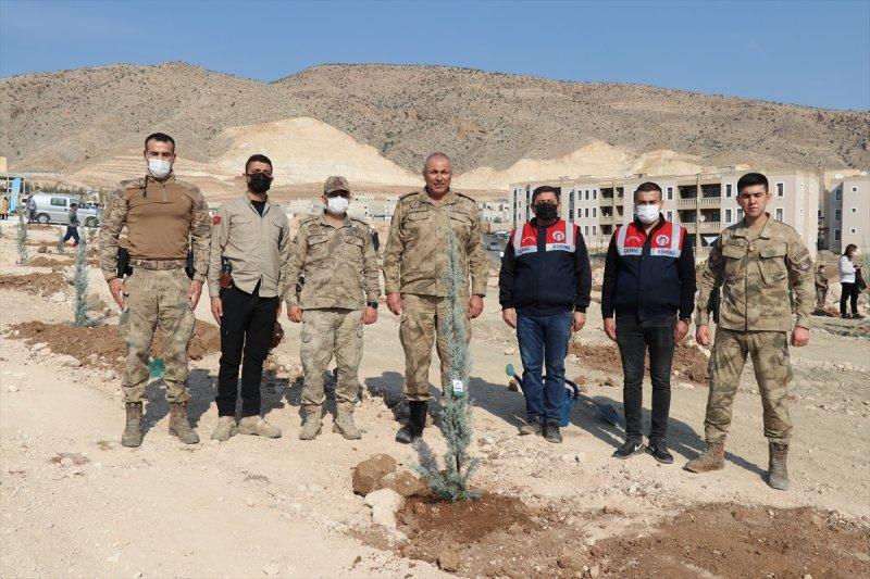 Milli Ağaçlandırma gününde yurt genelinde fidan dikimi yapıldı