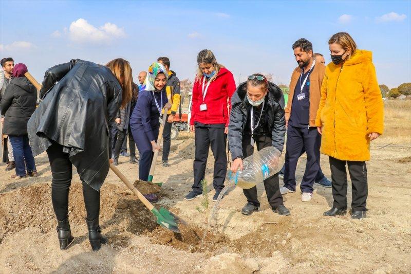 Milli Ağaçlandırma gününde yurt genelinde fidan dikimi yapıldı