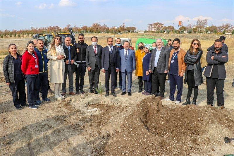 Milli Ağaçlandırma gününde yurt genelinde fidan dikimi yapıldı