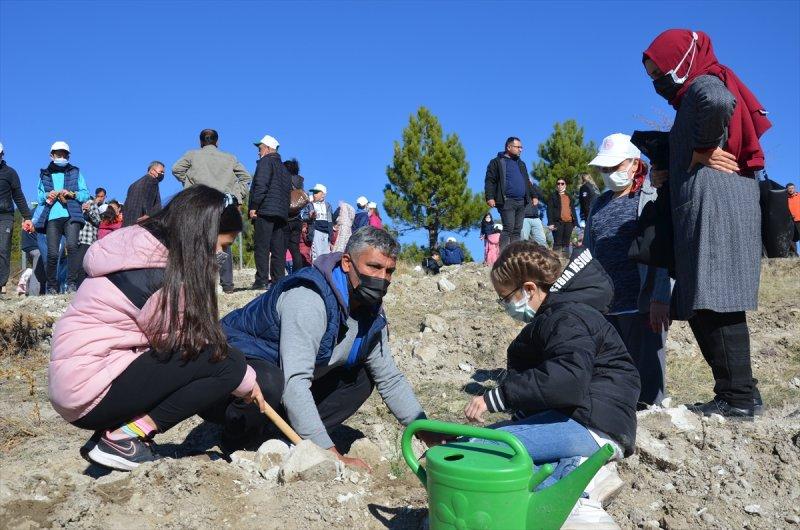 Milli Ağaçlandırma gününde yurt genelinde fidan dikimi yapıldı