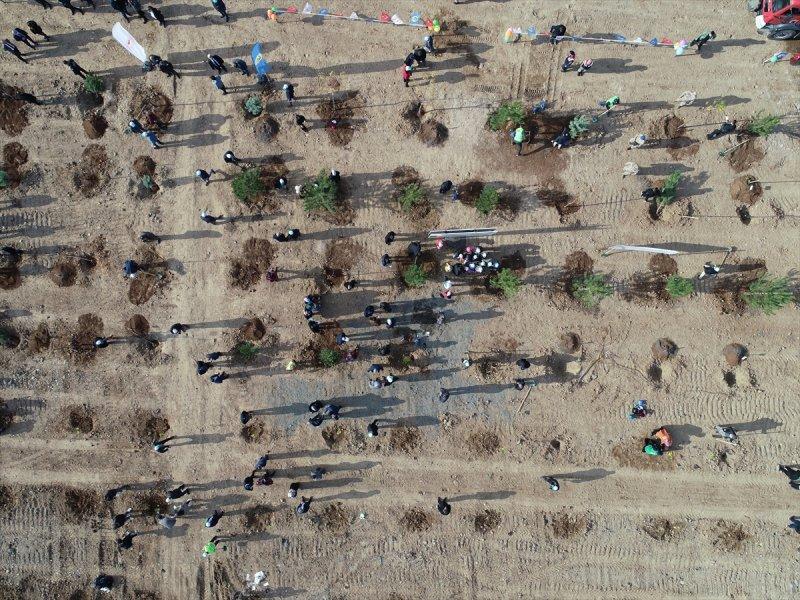 Milli Ağaçlandırma gününde yurt genelinde fidan dikimi yapıldı