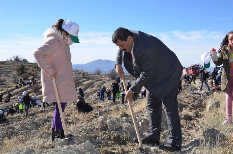 Milli Ağaçlandırma gününde yurt genelinde fidan dikimi yapıldı