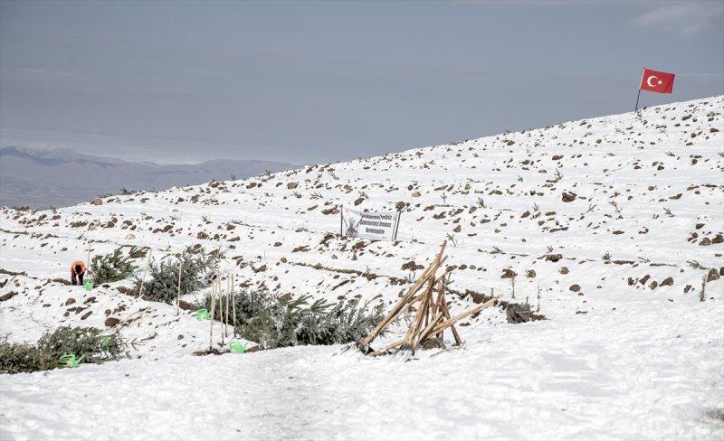 Milli Ağaçlandırma gününde yurt genelinde fidan dikimi yapıldı