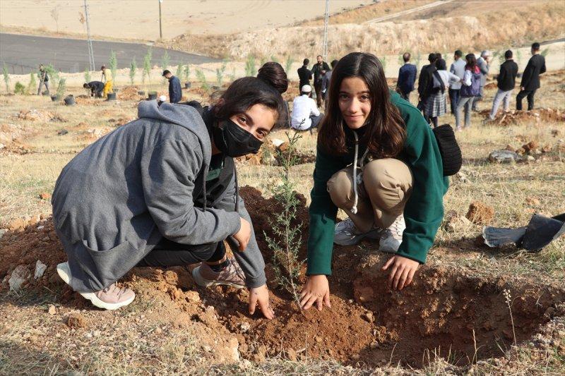 Milli Ağaçlandırma gününde yurt genelinde fidan dikimi yapıldı
