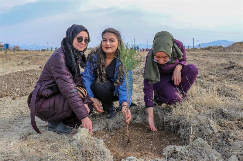 Milli Ağaçlandırma gününde yurt genelinde fidan dikimi yapıldı