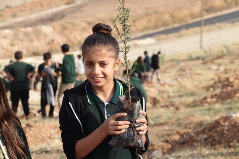 Milli Ağaçlandırma gününde yurt genelinde fidan dikimi yapıldı