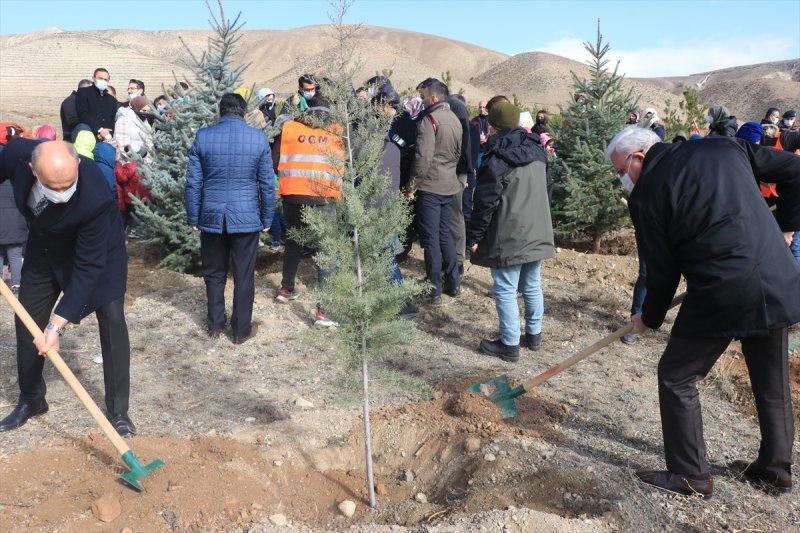 Milli Ağaçlandırma gününde yurt genelinde fidan dikimi yapıldı