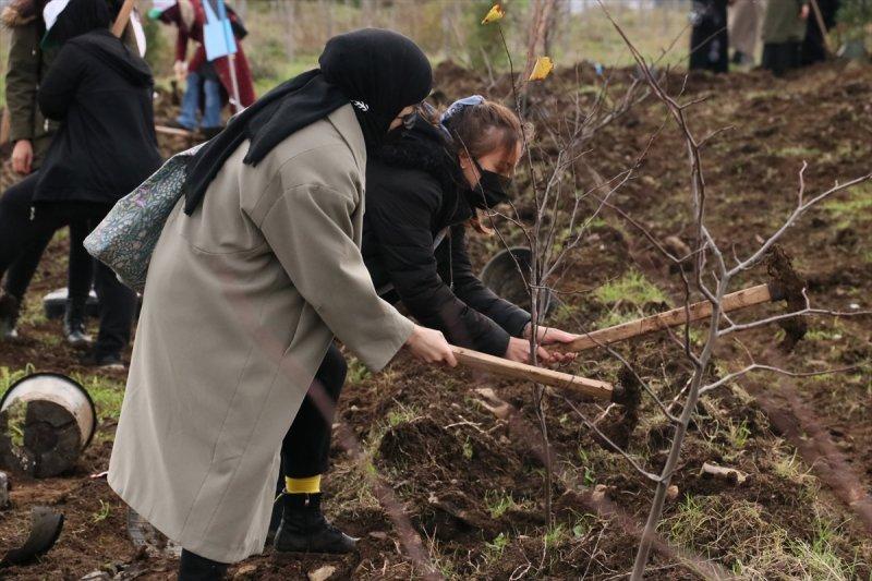 Milli Ağaçlandırma gününde yurt genelinde fidan dikimi yapıldı