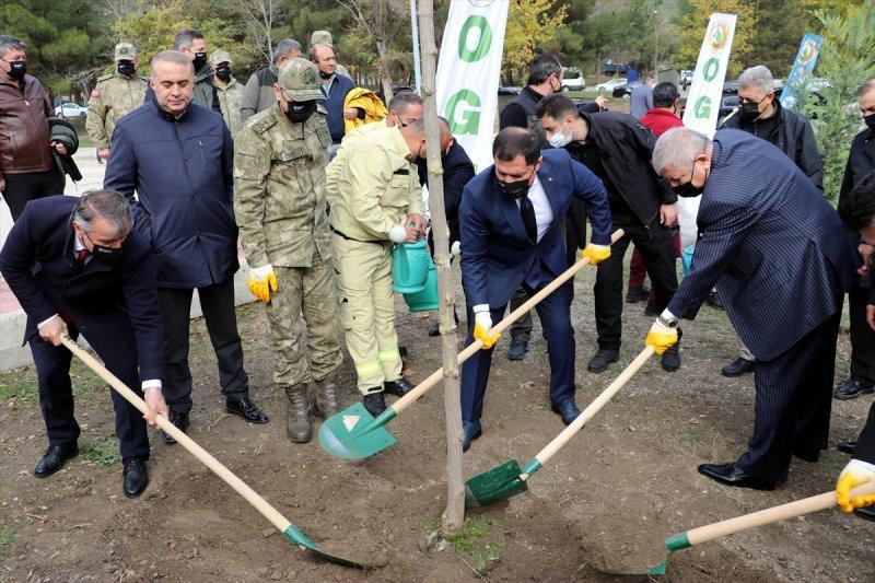 Milli Ağaçlandırma gününde yurt genelinde fidan dikimi yapıldı