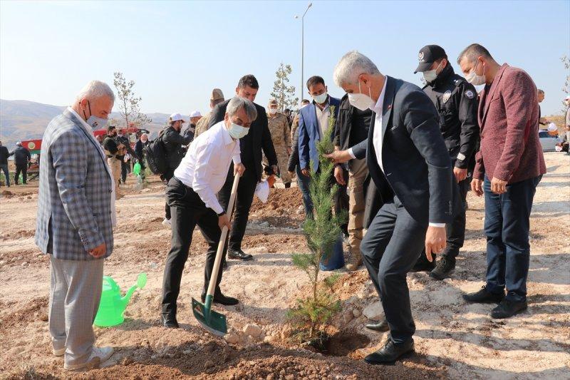 Milli Ağaçlandırma gününde yurt genelinde fidan dikimi yapıldı
