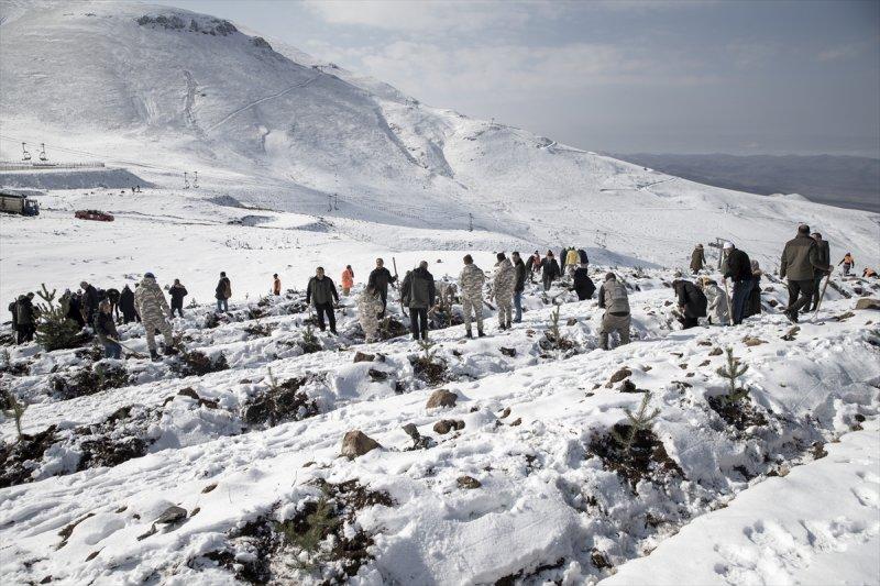 Milli Ağaçlandırma gününde yurt genelinde fidan dikimi yapıldı