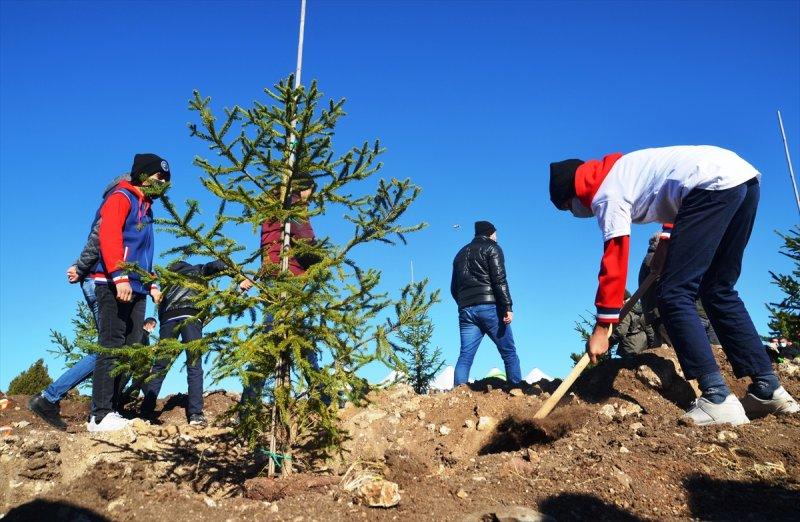 Milli Ağaçlandırma gününde yurt genelinde fidan dikimi yapıldı