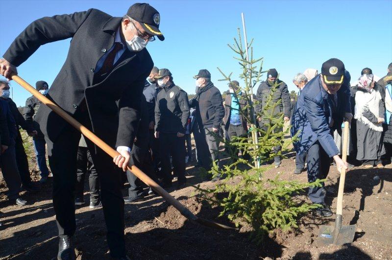 Milli Ağaçlandırma gününde yurt genelinde fidan dikimi yapıldı