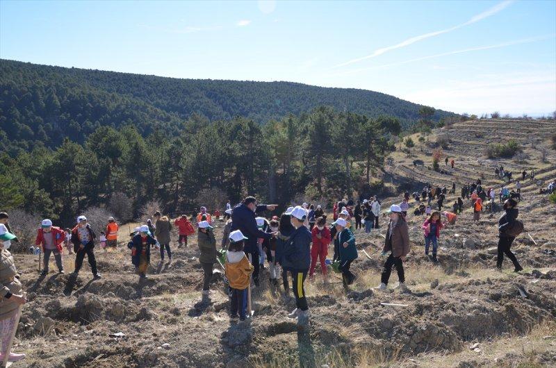 Milli Ağaçlandırma gününde yurt genelinde fidan dikimi yapıldı