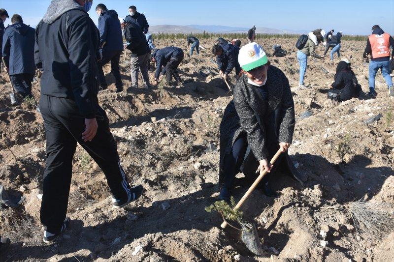 Milli Ağaçlandırma gününde yurt genelinde fidan dikimi yapıldı