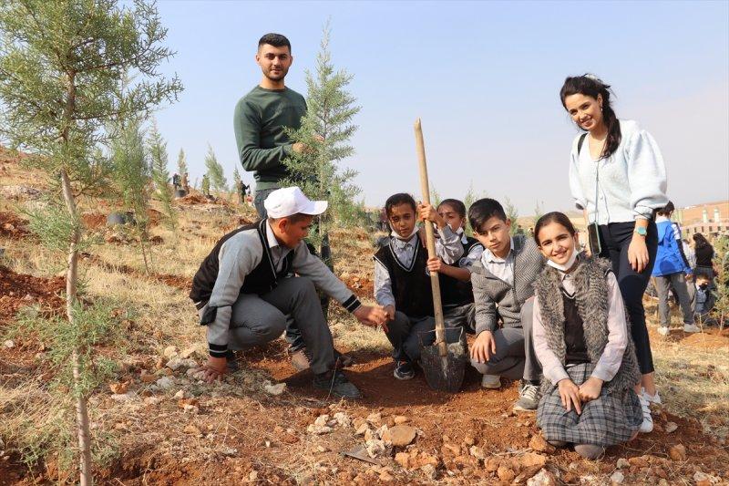 Milli Ağaçlandırma gününde yurt genelinde fidan dikimi yapıldı