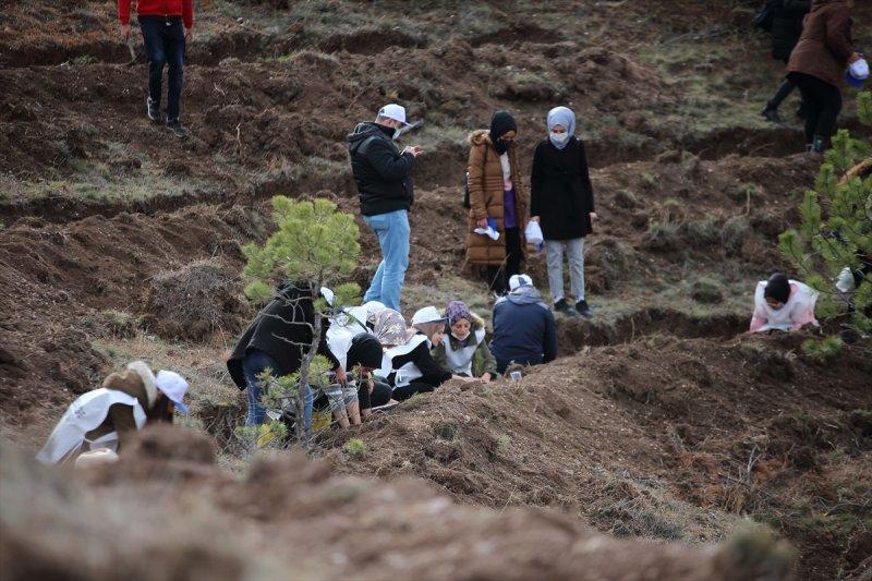 Milli Ağaçlandırma gününde yurt genelinde fidan dikimi yapıldı