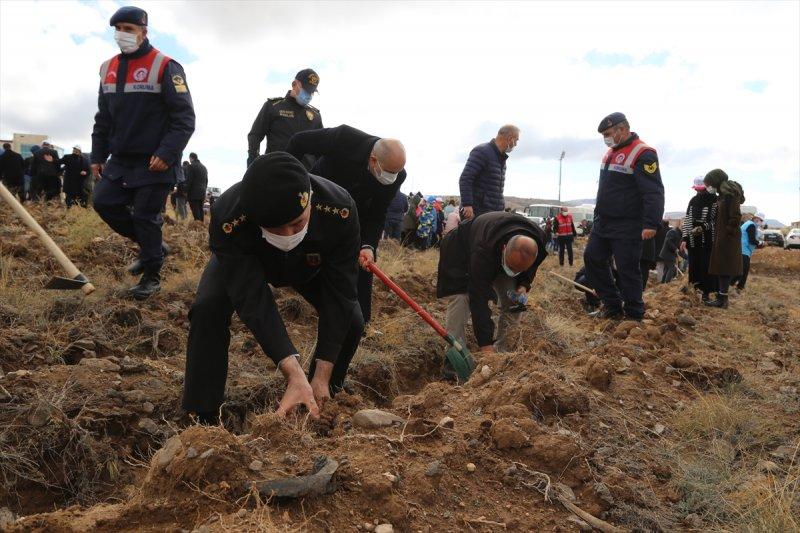 Milli Ağaçlandırma gününde yurt genelinde fidan dikimi yapıldı