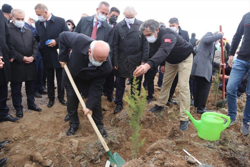 Milli Ağaçlandırma gününde yurt genelinde fidan dikimi yapıldı