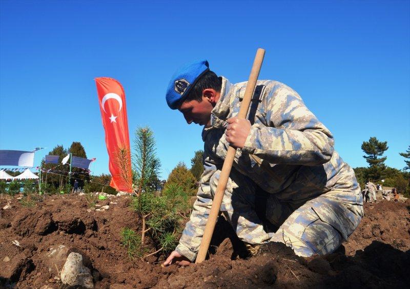 Milli Ağaçlandırma gününde yurt genelinde fidan dikimi yapıldı