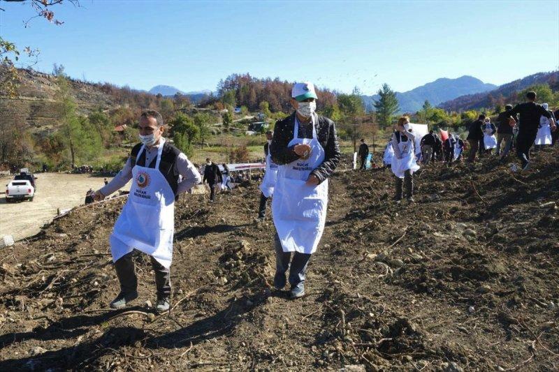 Milli Ağaçlandırma gününde yurt genelinde fidan dikimi yapıldı