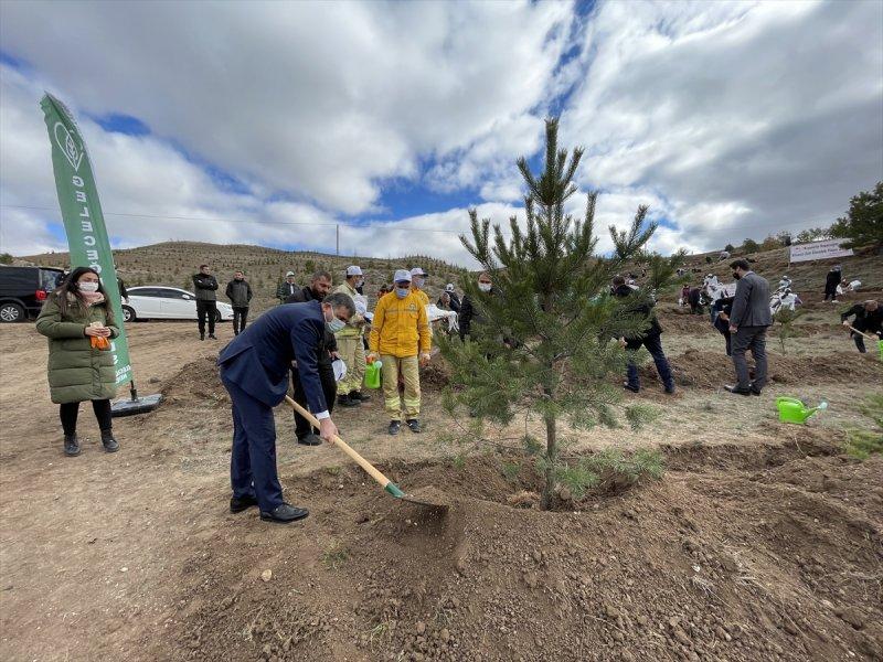 Milli Ağaçlandırma gününde yurt genelinde fidan dikimi yapıldı