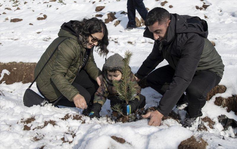 Milli Ağaçlandırma gününde yurt genelinde fidan dikimi yapıldı