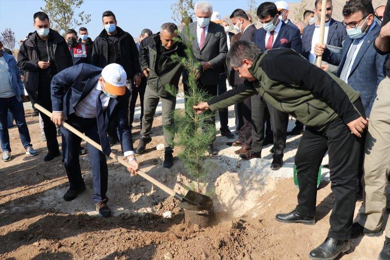 Milli Ağaçlandırma gününde yurt genelinde fidan dikimi yapıldı