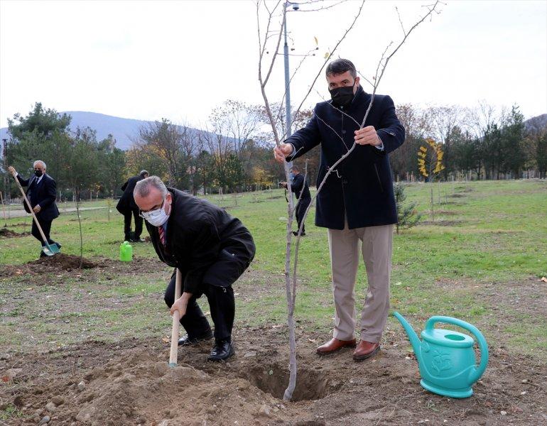 Milli Ağaçlandırma gününde yurt genelinde fidan dikimi yapıldı