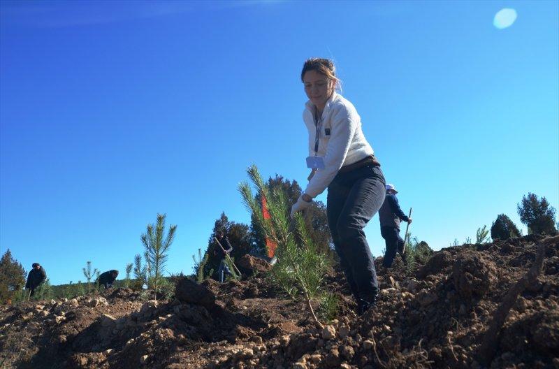 Milli Ağaçlandırma gününde yurt genelinde fidan dikimi yapıldı