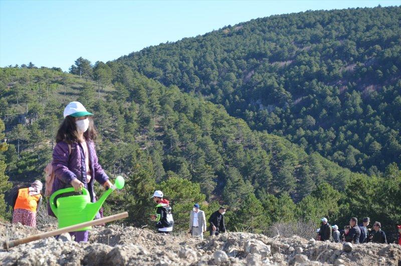 Milli Ağaçlandırma gününde yurt genelinde fidan dikimi yapıldı