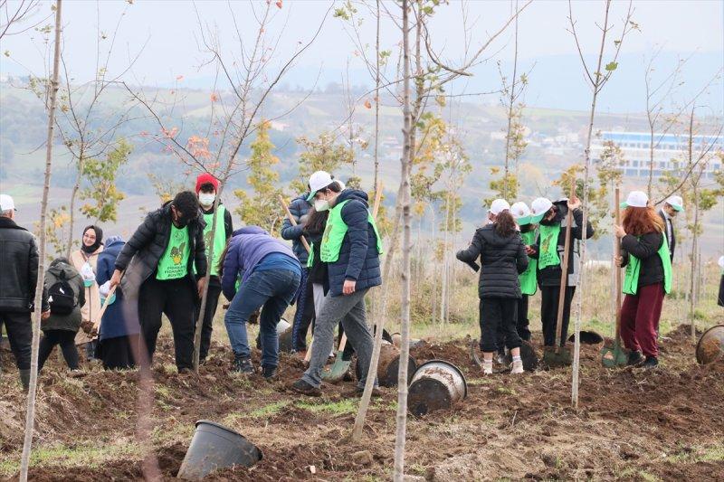 Milli Ağaçlandırma gününde yurt genelinde fidan dikimi yapıldı
