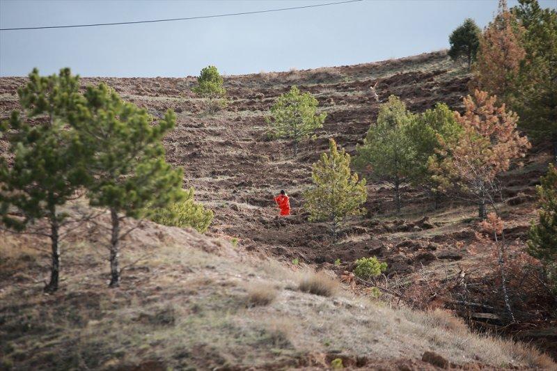 Milli Ağaçlandırma gününde yurt genelinde fidan dikimi yapıldı