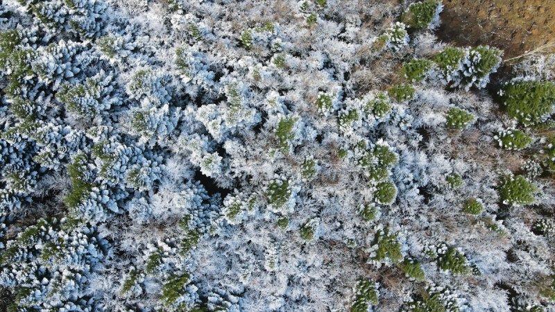 Küre Dağları'nda sonbahar ve kış bir arada