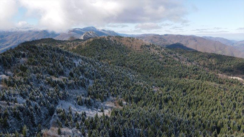 Küre Dağları'nda sonbahar ve kış bir arada