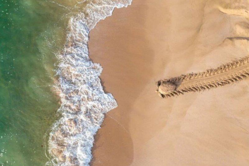 2021'in en başarılı drone fotoğrafları