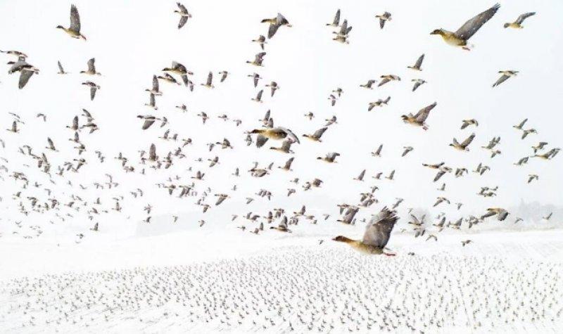 2021'in en başarılı drone fotoğrafları