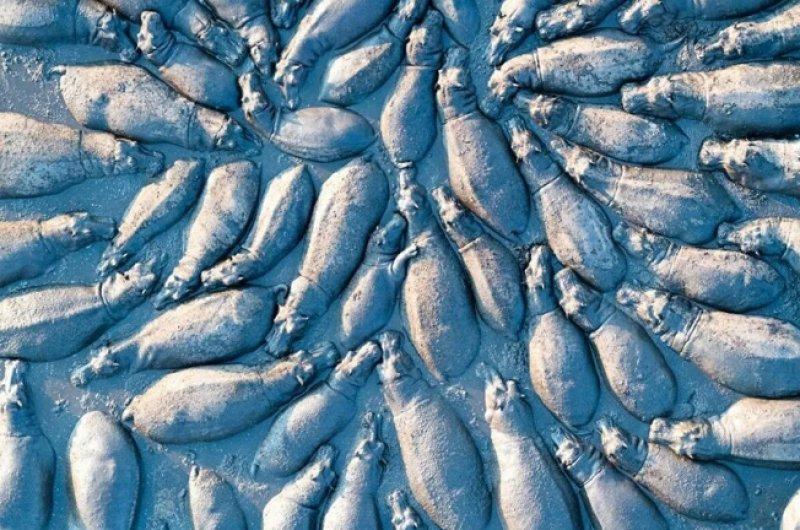 2021'in en başarılı drone fotoğrafları