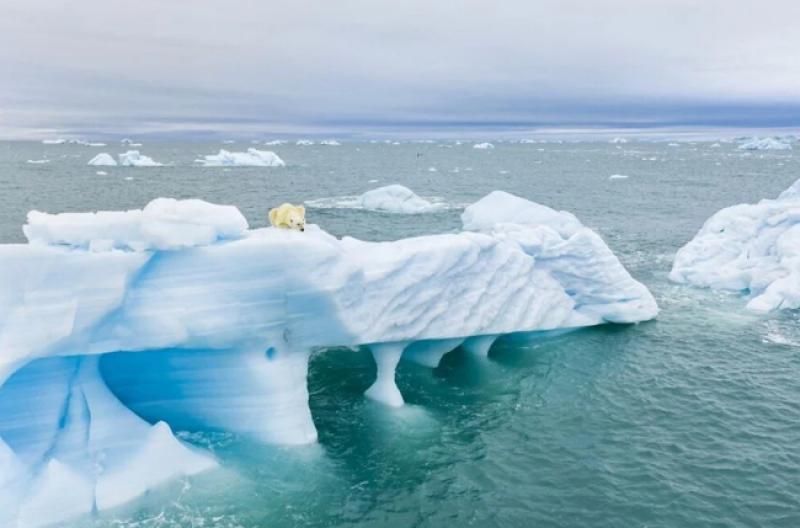 2021'in en başarılı drone fotoğrafları