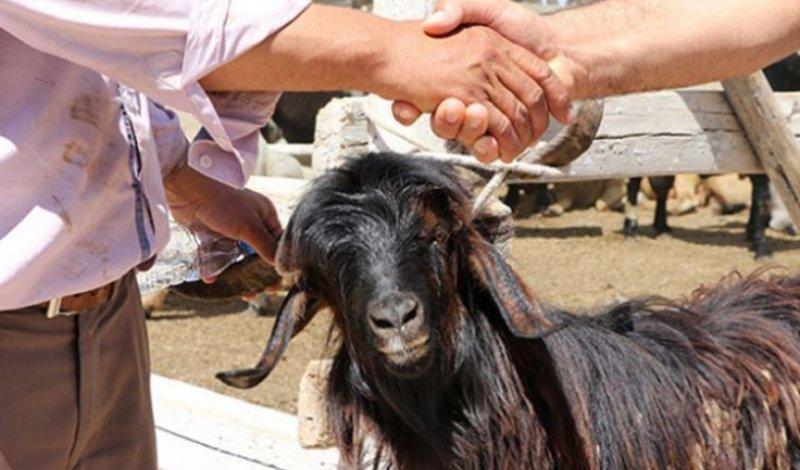 2022 yılının resmi tatil günleri belli oldu