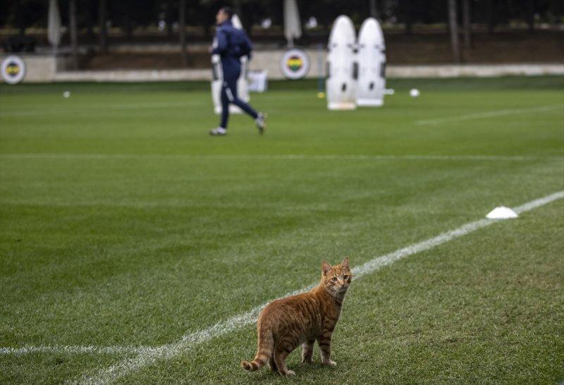 Fenerbahçe 21 Kasım'da oynanacak derbi hazırlıklarını sürdürüyor