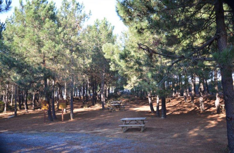 İstanbul'un tabiat parkları