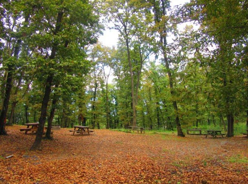 İstanbul'un tabiat parkları
