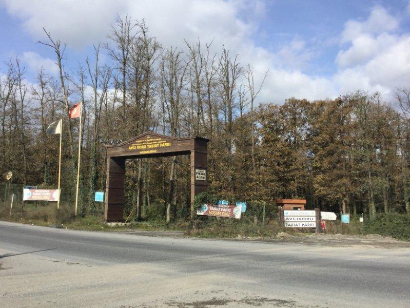 İstanbul'un tabiat parkları