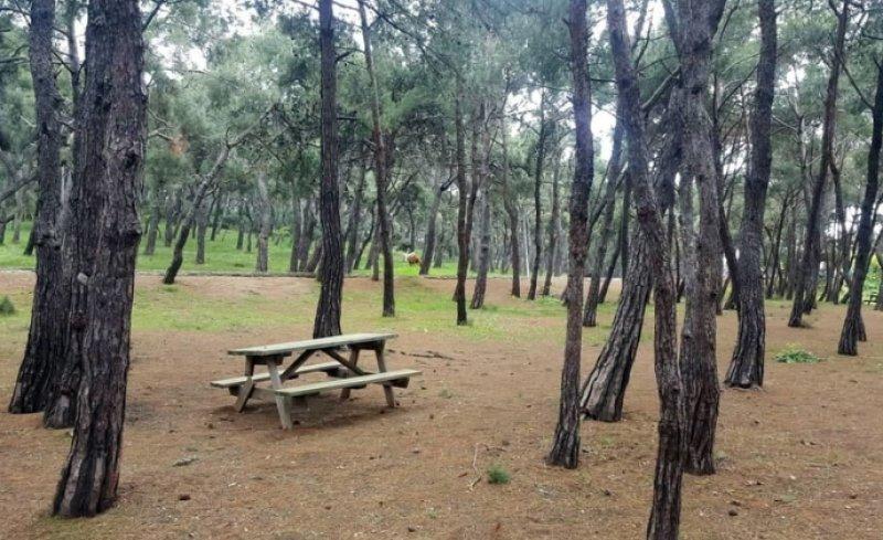 İstanbul'un tabiat parkları