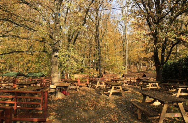 İstanbul'un tabiat parkları