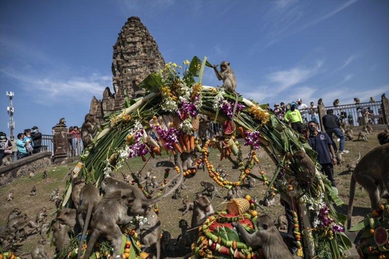 Tayland'da maymunların açık büfesi 