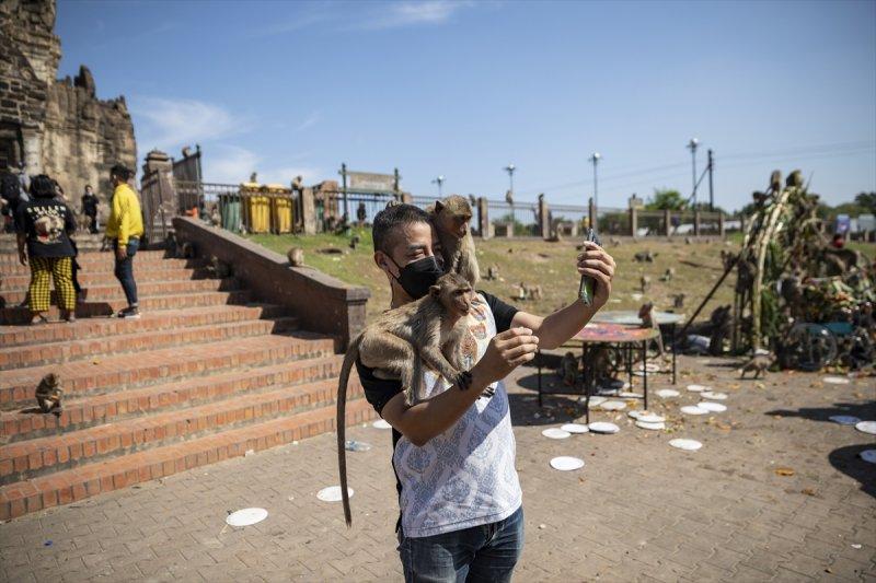 Tayland'da maymunların açık büfesi 